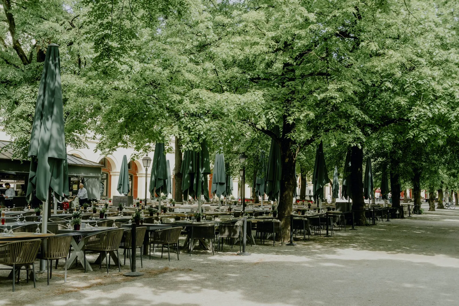 A tree-shaded beer garden in Munich